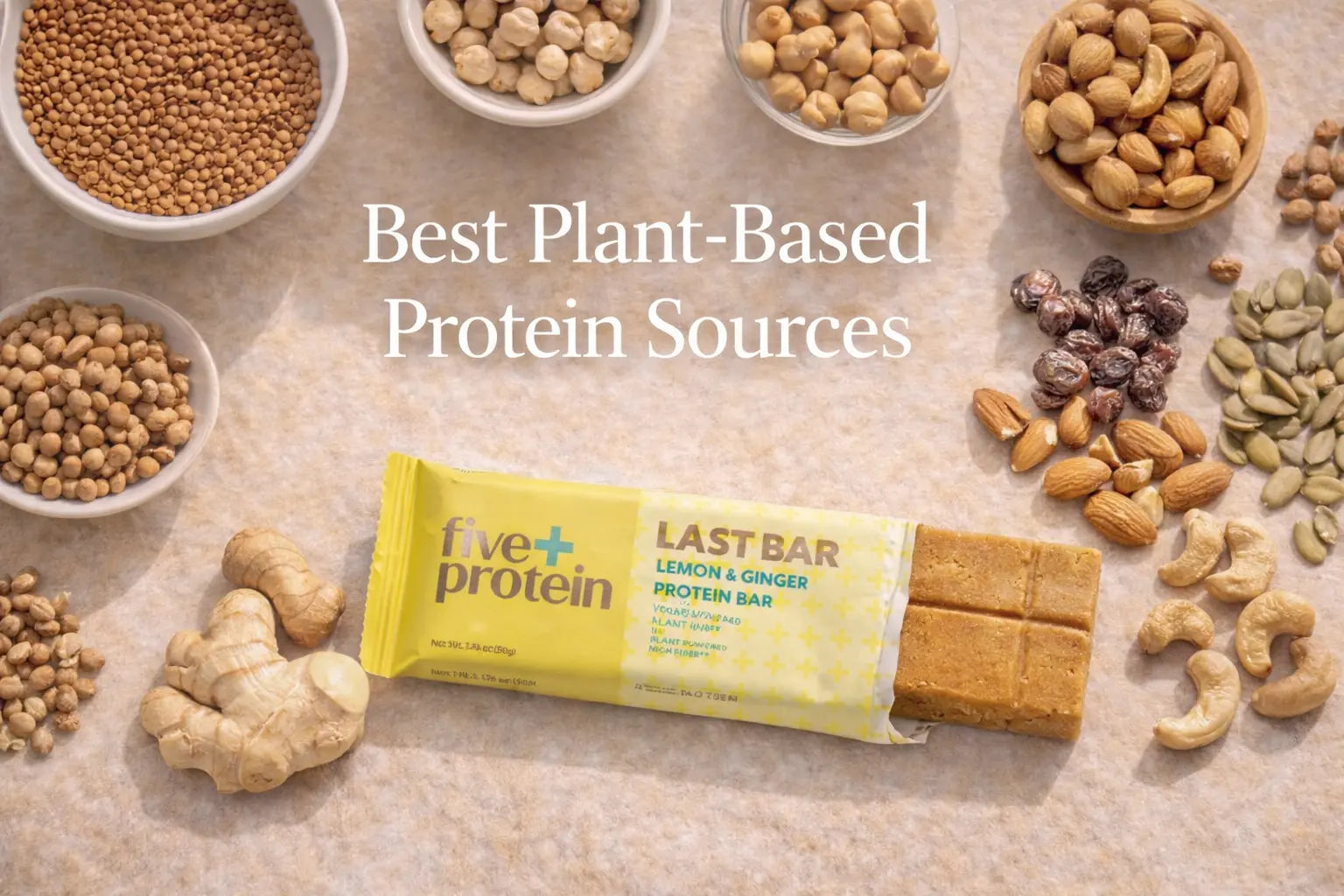 Best Plant-Based Protein Sources: Complete Guide